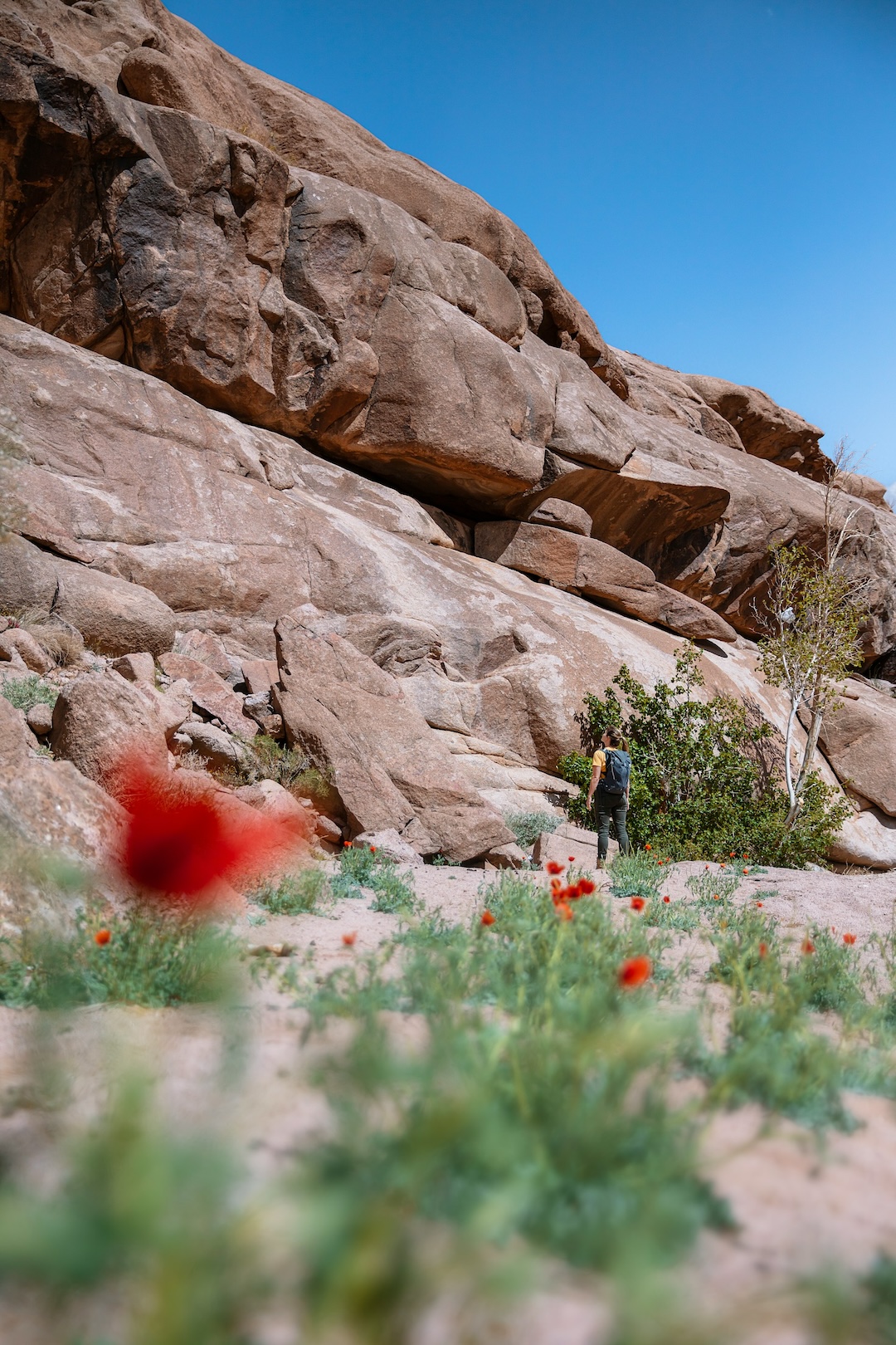hiking